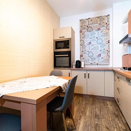 Yan Apartment - Near Mall & Free Private Parking Brašov Exteriér fotografie